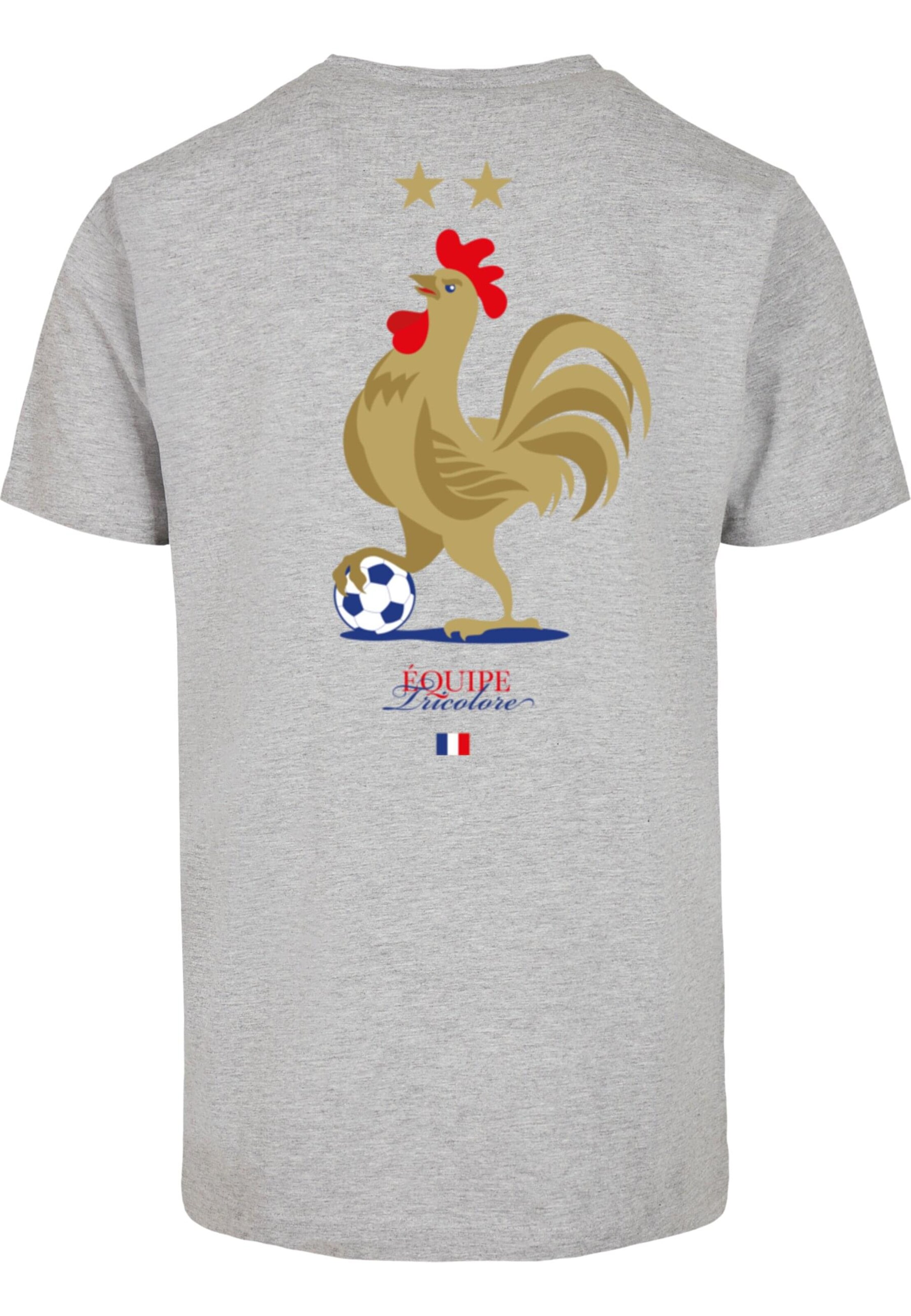 T-Shirt 'Équipe Tri Color 2.0' Mister Tee en gris