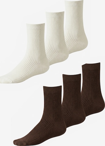 Millo Socks 'Cosy Steps Mix' in Brown: front