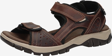 Bama Hiking Sandals in Brown: front