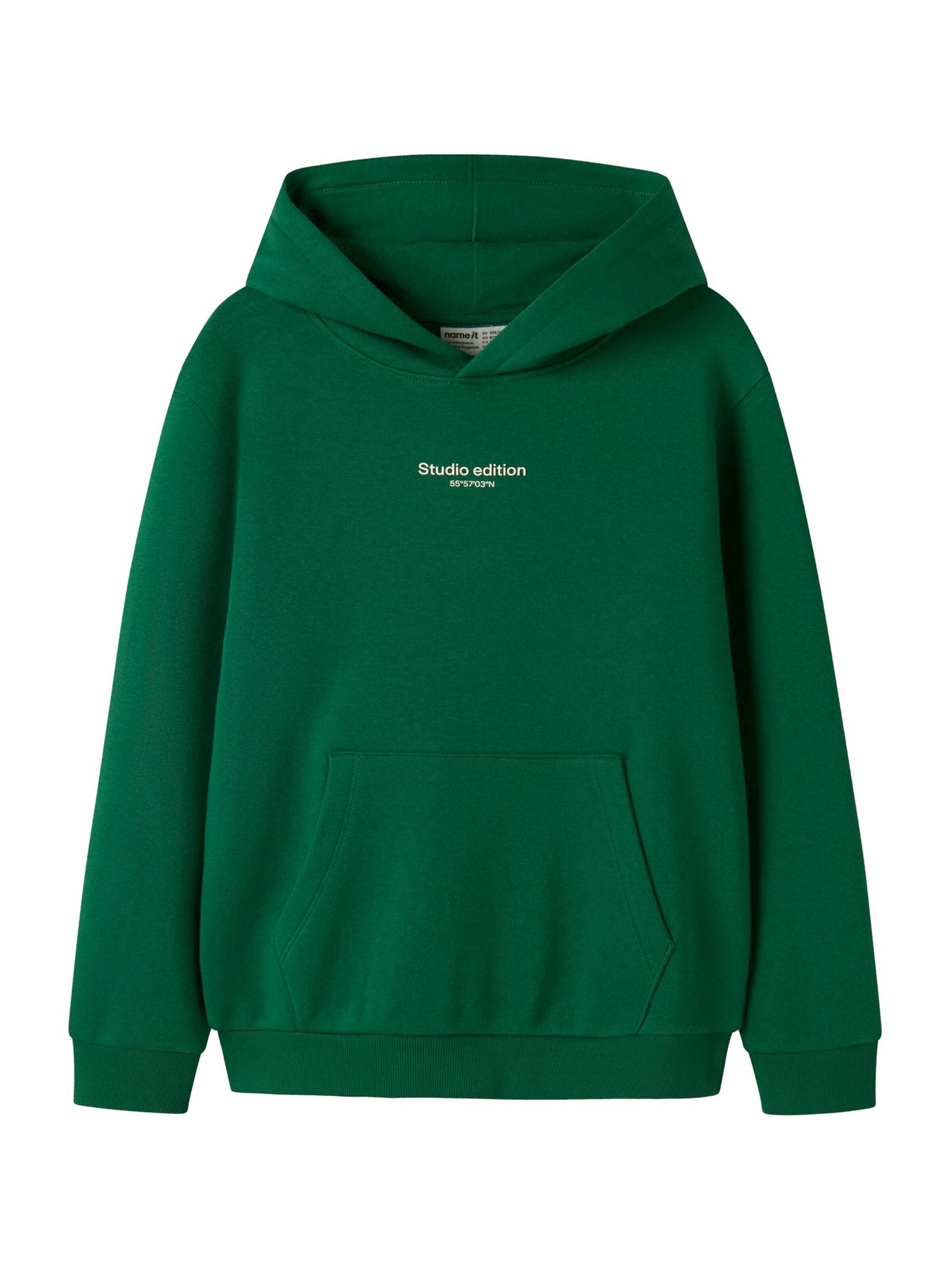 NAME IT Sweatshirt 'NKMBRODY' i grön: framsida