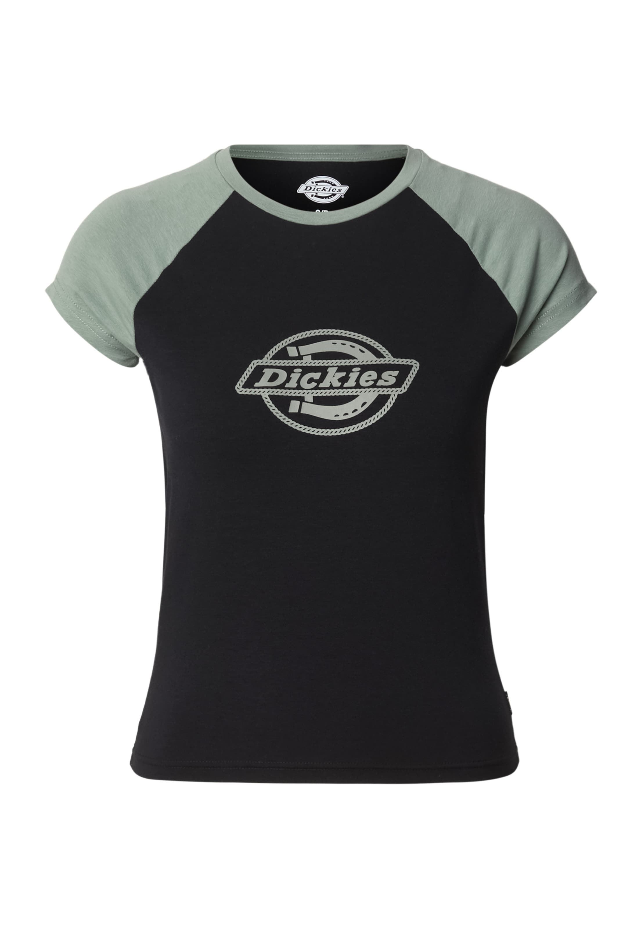 Maglietta DICKIES di colore grigio scuro / canna / nero, Visualizzazione prodotti