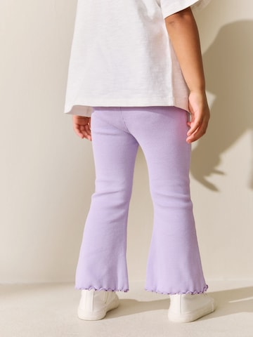 Next Na zvonec Pajkice | vijolična barva