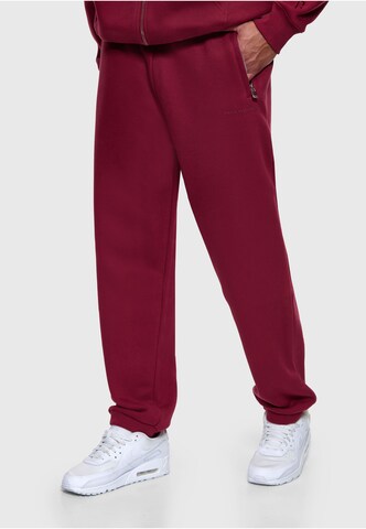 Dropsize Regular Broek in Lila