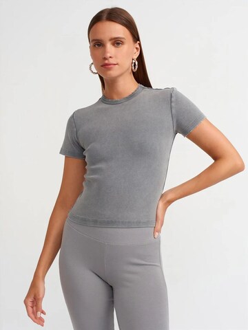 Dilvin T-Shirts in Grau: Vorderseite