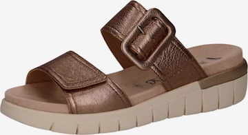 CAPRICE Mules in Grey: front