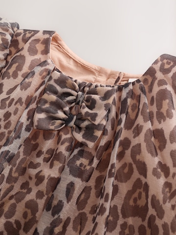 Next Dress in Brown