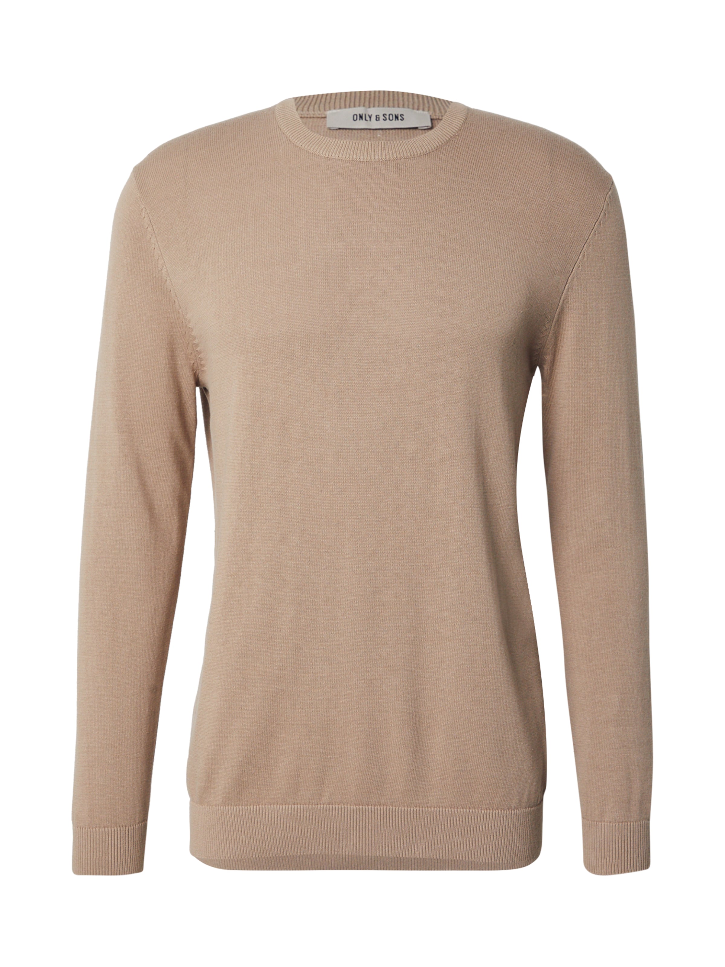 bēšs Only & Sons Standarta piegriezums Džemperis 'ONSALEX': no priekšpuses