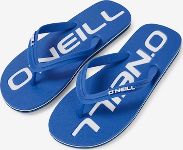 Tongs O'NEILL en bleu