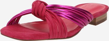 Fabienne Chapot Mules 'Momo' in Pink: front