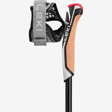 LEKI Stick 'Instructor Lite' in Black