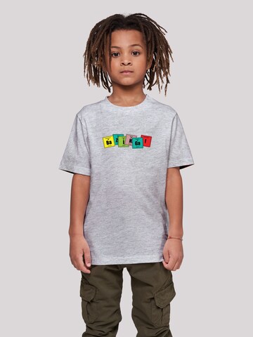 F4NT4STIC T-Shirt in Grau: Vorderseite