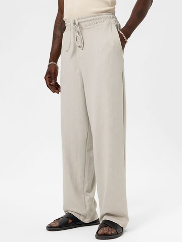 Loosefit Pantaloni 'Golden Alexander' di VAMOS CLO in grigio