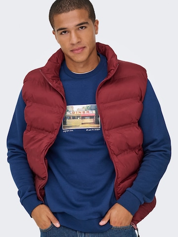 Only & Sons Свитшот 'ONSCERES' в Синий