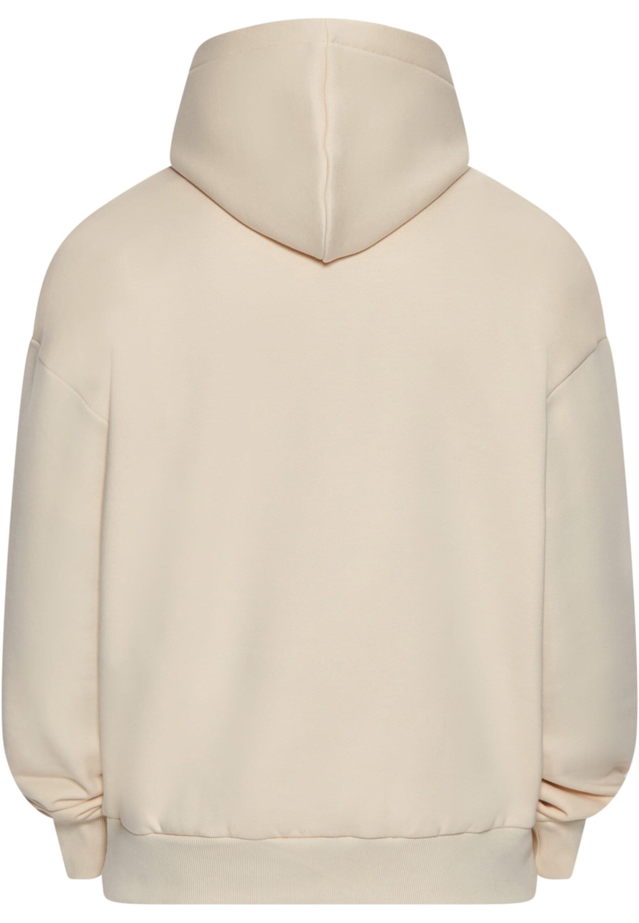 Dropsize Sweatshirt in Beige