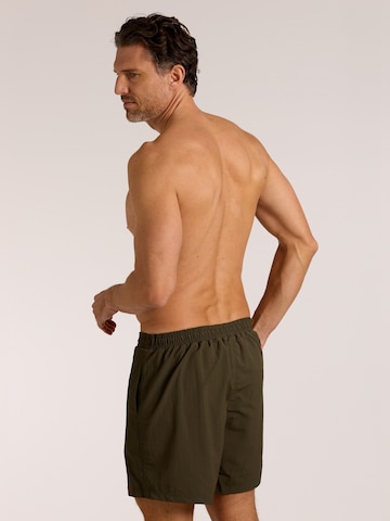 wavebreaker Board Shorts in Green