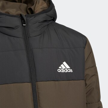 ADIDAS SPORTSWEAR Kurtka outdoor 'Padded Winter' w kolorze zielony