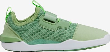 sfoli Sneakers in Green