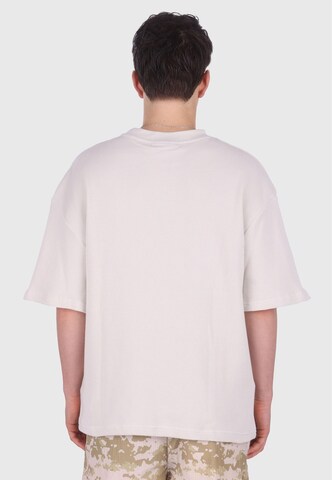 Dropsize Shirt in Grau