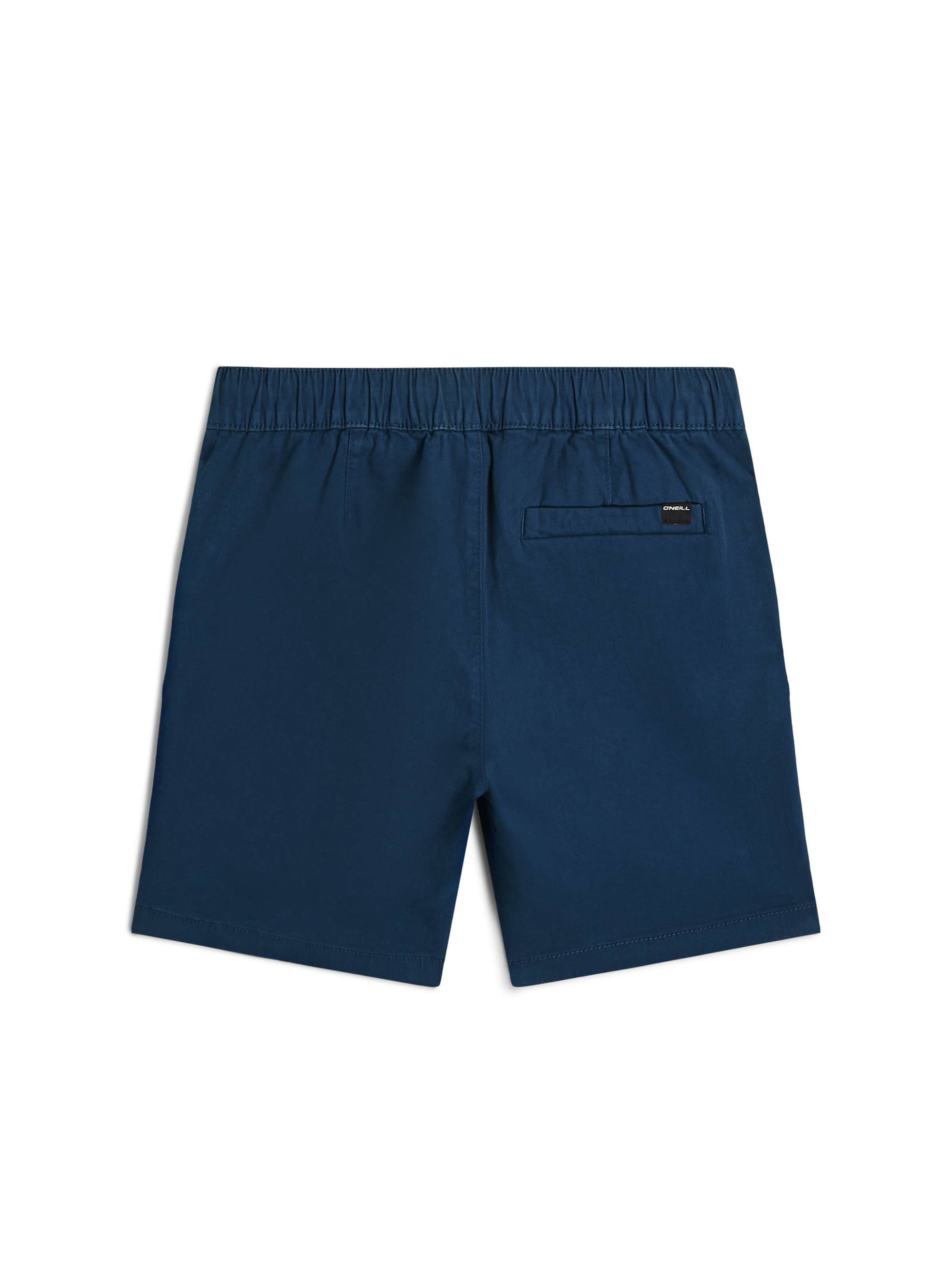 O'NEILL Regular Pants in Blue
