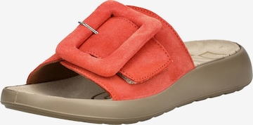 Mule IGI&CO en rouge : devant