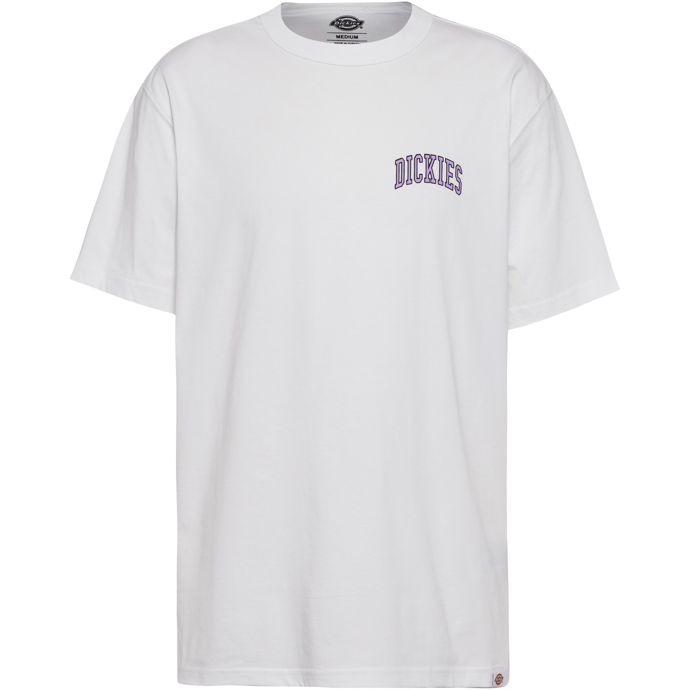 DICKIES Tričko 'Aitkin' - Biela: predná strana