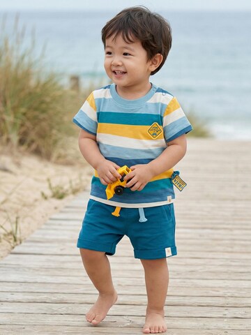 SIGIKID Regular Pants 'Bermuda Blue & Bright' in Green