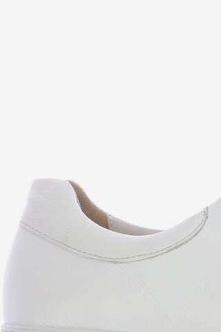 GABOR Sneakers & Trainers in 35 in White