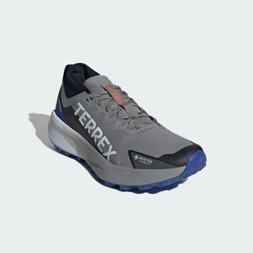 ADIDAS TERREX Lage schoen 'Agravic GTX' in Grijs