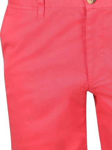 McGREGOR Regular Hose 'Classic'‌‌‌ in Pink