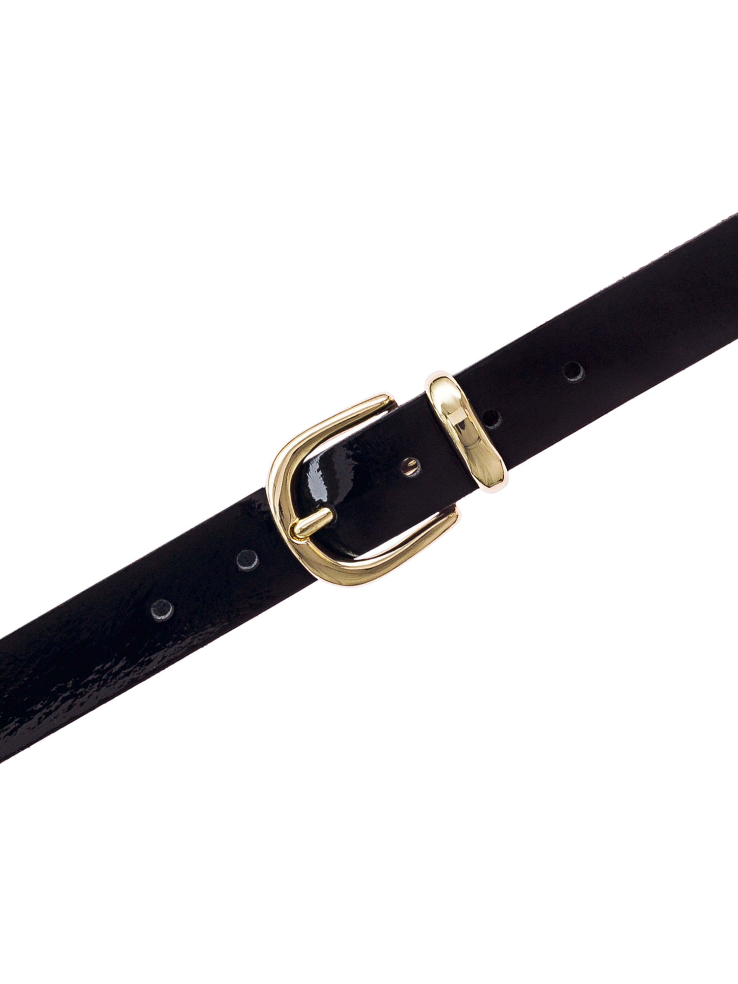 VANZETTI - Cinturón en negro