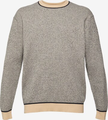 Esprit Collection Sweatshirt in Grau: predná strana