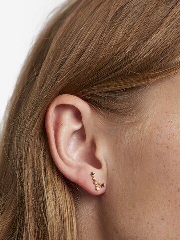 P D PAOLA Earrings 'Cancer' in Gold