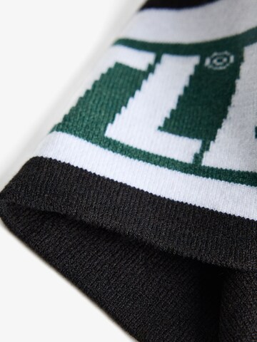 Bershka Kape | zelena barva