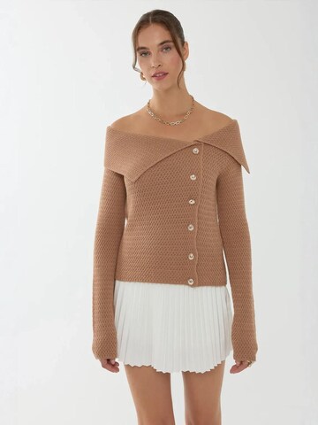 Pullover di Hiccup in marrone: frontale