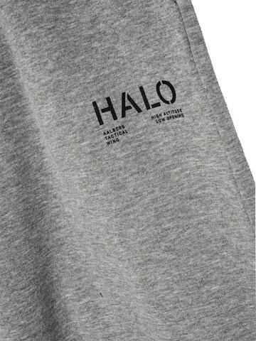 HALO Tapered Broek in Grijs