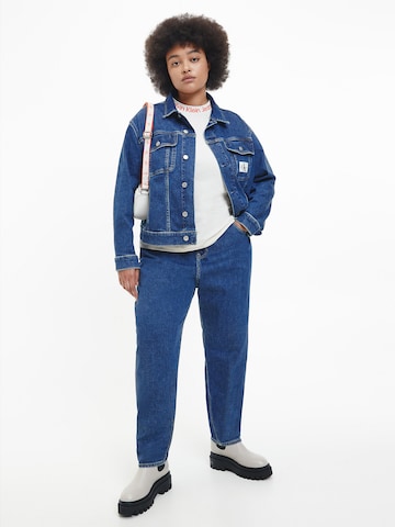 Regular Jean Calvin Klein Jeans Curve en bleu