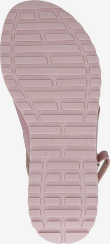 CAPRICE Sandaal in Roze