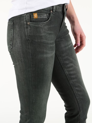 Skinny Jean Miracle of Denim en gris