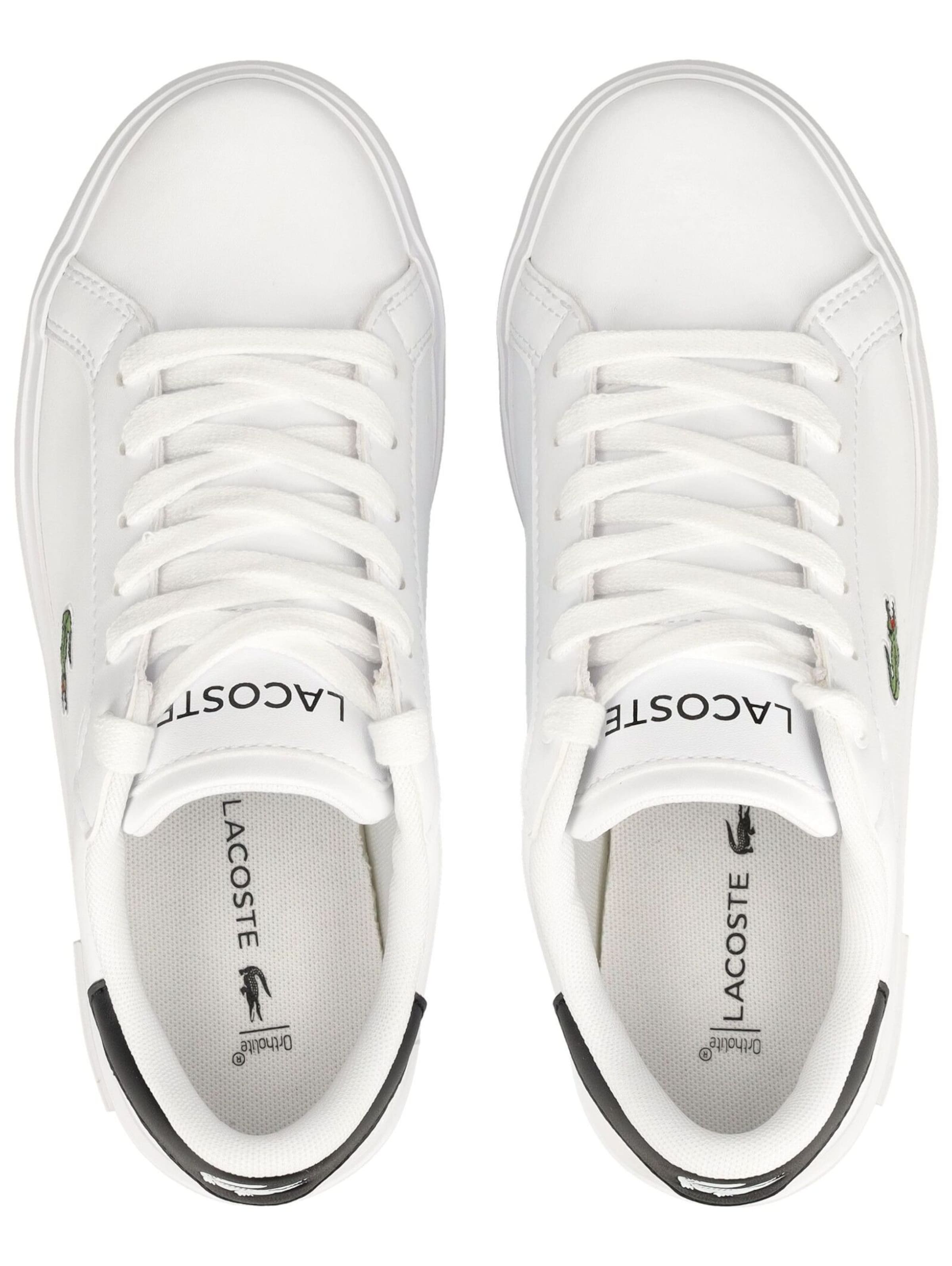 Baskets LACOSTE en blanc