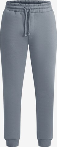 Smilodox Pants ' Aldin ' in Grey: front