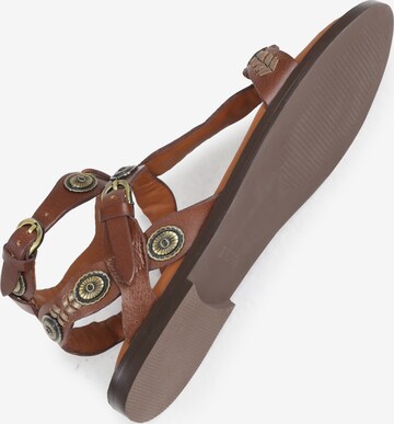 BRONX Sandals ' Sky-Ler ' in Brown