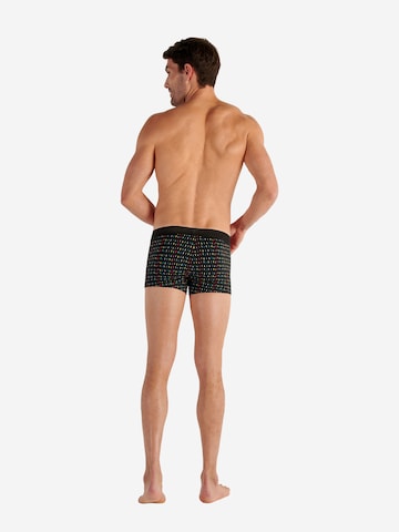 HOM Retro Pants ' Rolling ' in Mischfarben