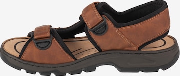 Rieker Trekking sandal in Brown: front