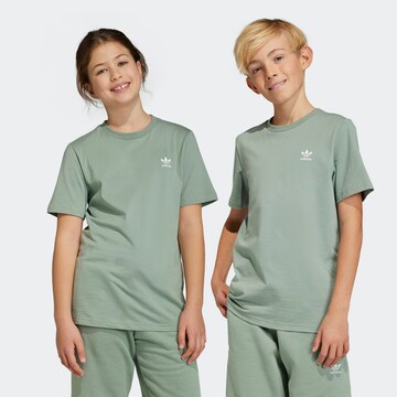 ADIDAS ORIGINALS Μπλουζάκι 'Adicolor' σε πράσινο: μπροστά