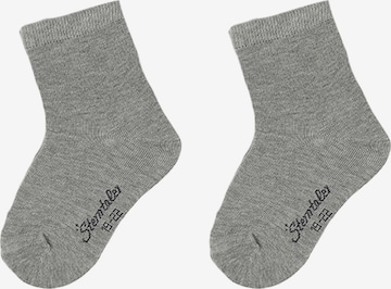 STERNTALER Socken in Grau