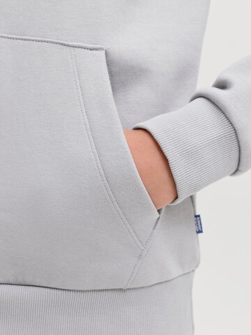 pelēks Jack & Jones Junior Standarta piegriezums Sportisks džemperis 'JJECORP'