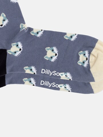 DillySocks Socken in Mischfarben