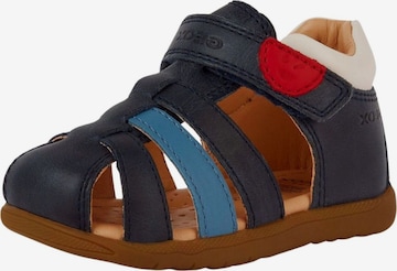 GEOX Open shoes 'Maccnia' in Blue: front