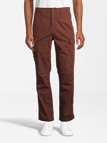 Regular Pantalon cargo AÉROPOSTALE en marron : devant