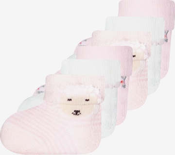 Regular Chaussettes EWERS en rose : devant